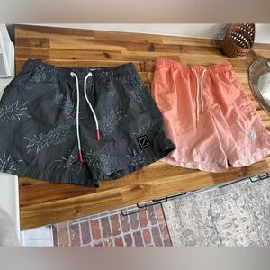 American Eagle Outfitters Lot of Men’s Swim Shorts